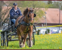 1POSIEUX 0412